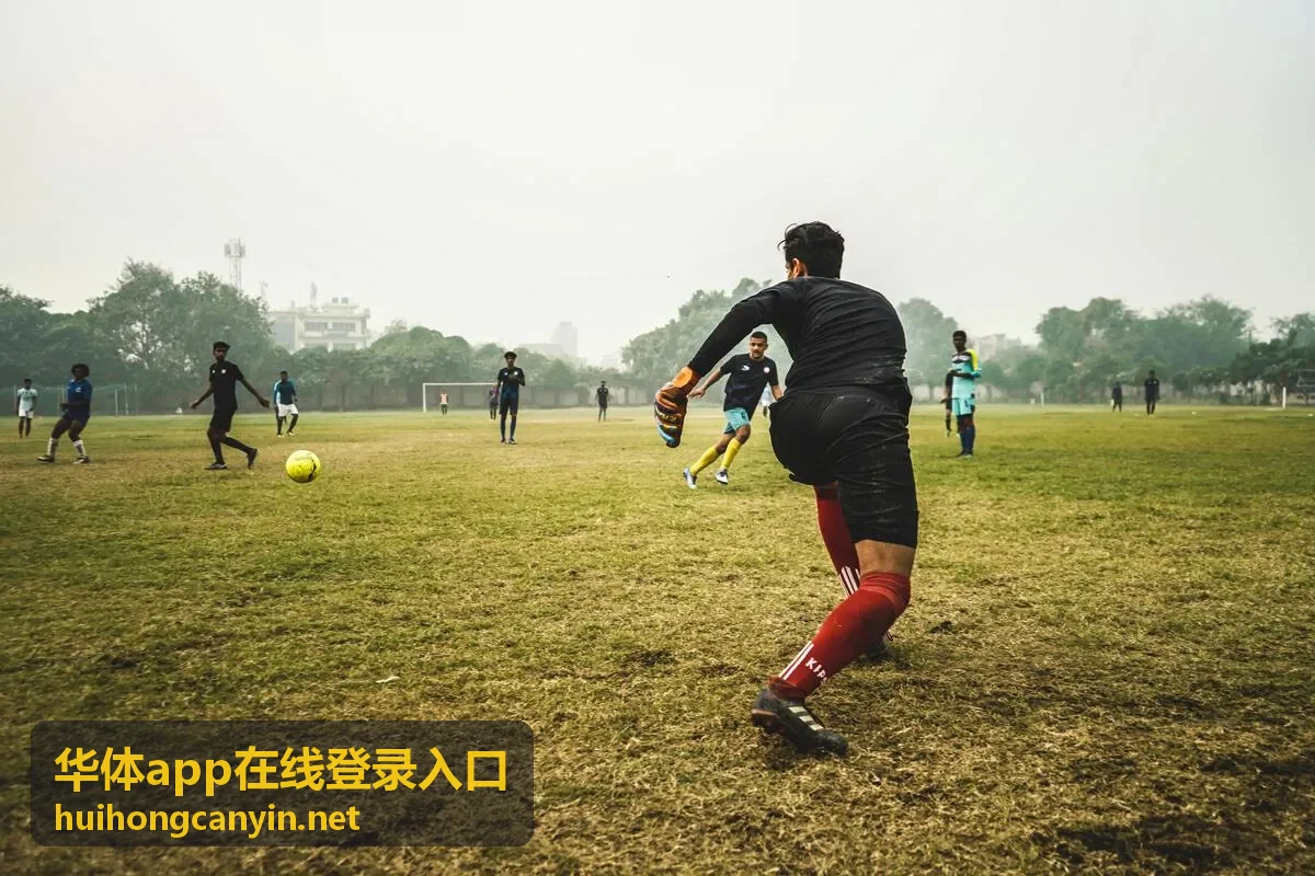 华体app在线登录入口的账号安全建议