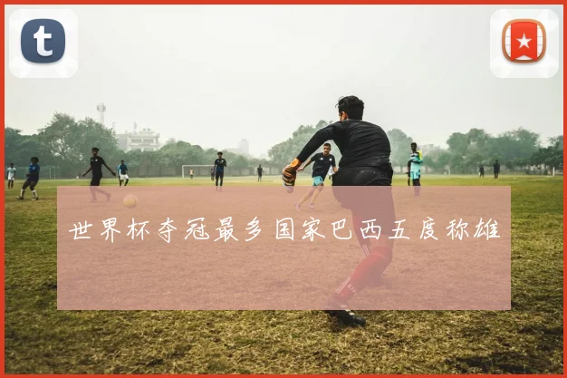 世界杯夺冠最多国家巴西五度称雄