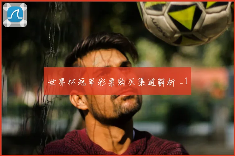 世界杯冠军彩票购买渠道解析 _1