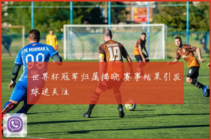 世界杯冠军归属揭晓 赛事结果引发球迷关注