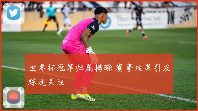 世界杯冠军归属揭晓 赛事结果引发球迷关注
