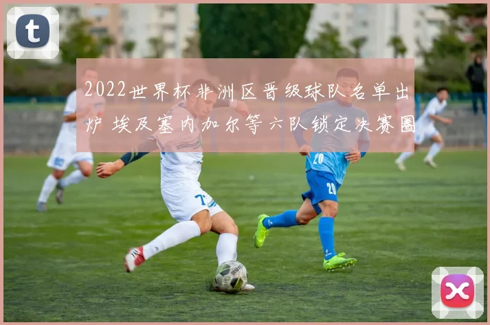 2022世界杯非洲区晋级球队名单出炉 埃及塞内加尔等六队锁定决赛圈席位