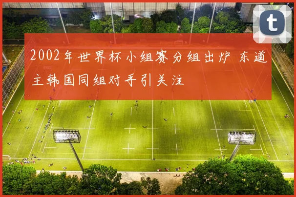2002年世界杯小组赛分组出炉 东道主韩国同组对手引关注