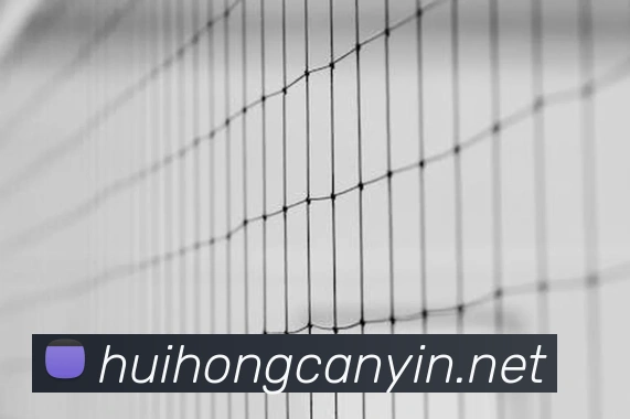 在线买世界杯平台APP 体育赛事宣传图